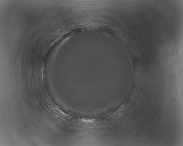 X0000078281010200611031202