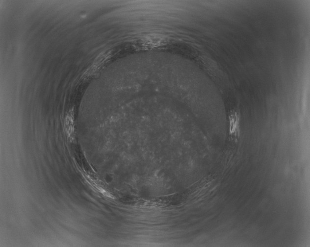 X0000078281011200611031202