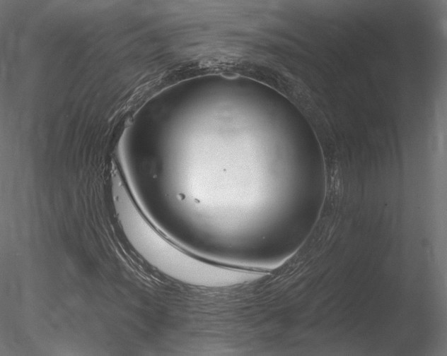 X0000078281012200611031203