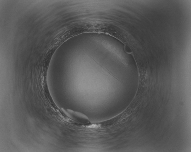 X0000078281013200611031203