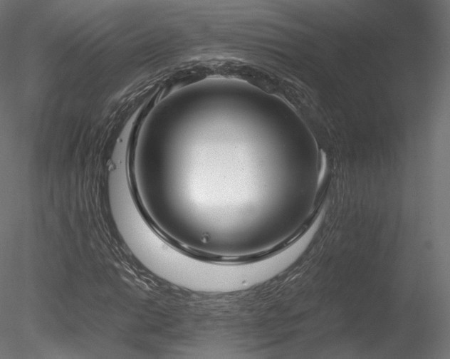 X0000078281014200611031203