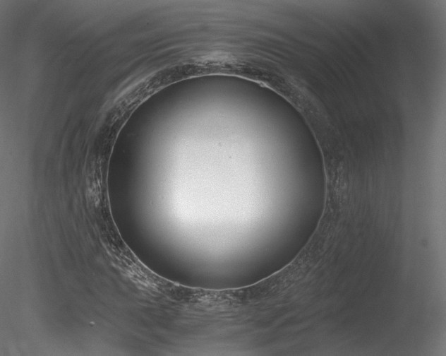 X0000078281015200611031203