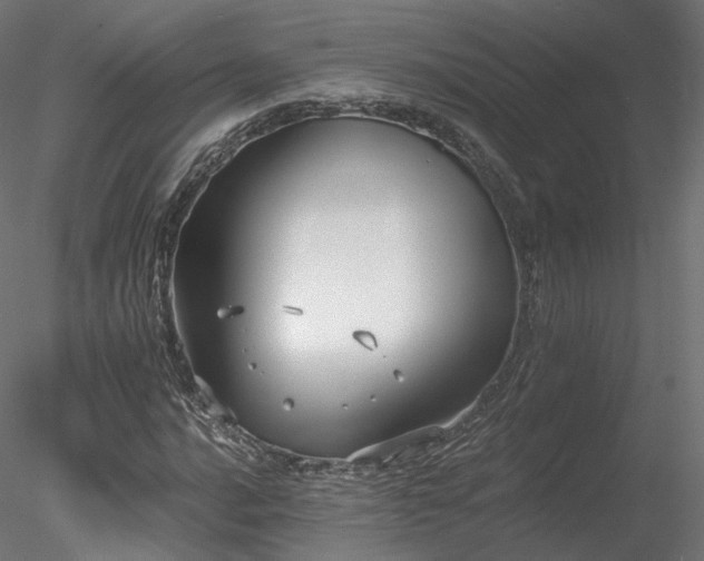 X0000078281016200611031203