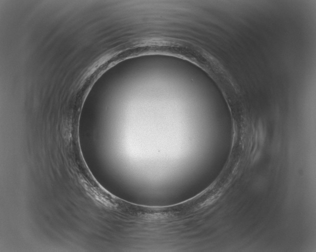 X0000078281017200611031203