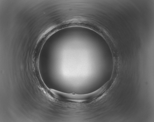 X0000078281018200611031203