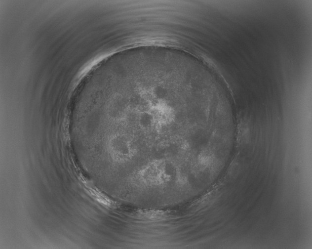 X0000078281019200611031203