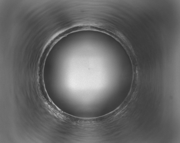 X0000078281020200611031203