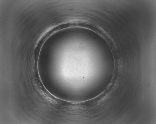 X0000078281021200611031203