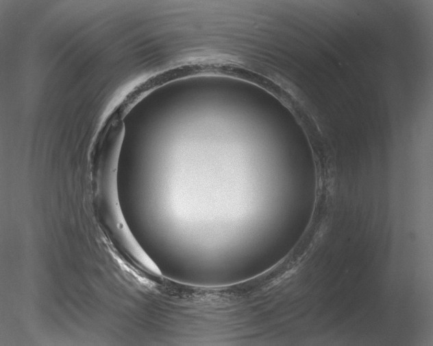 X0000078281022200611031203