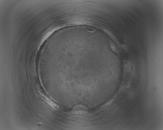 X0000078281023200611031203