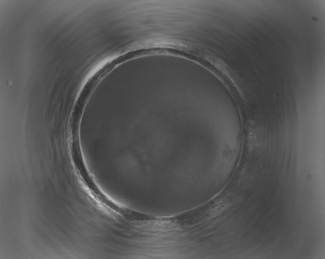 X0000078281024200611031203