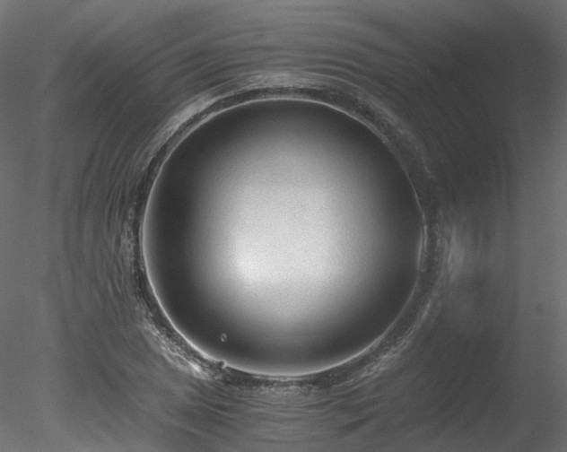 X0000078281025200611031203