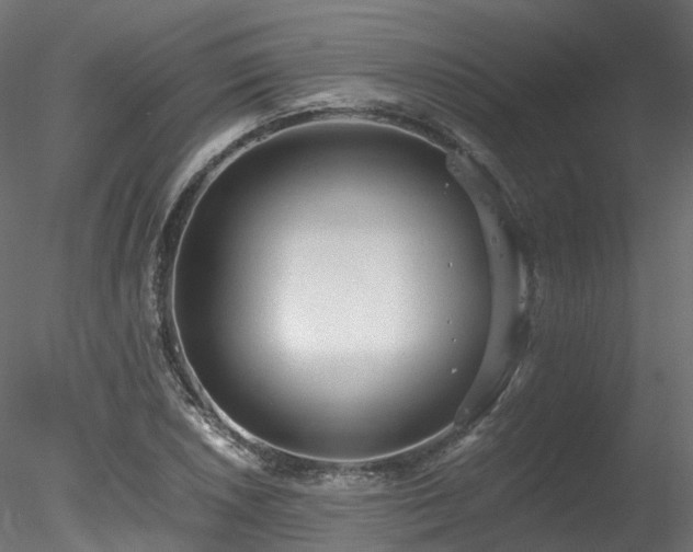 X0000078281026200611031203