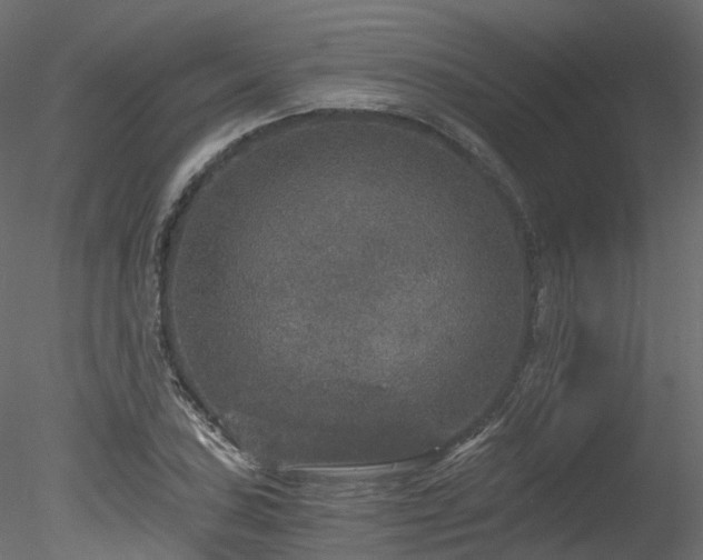 X0000078281027200611031203