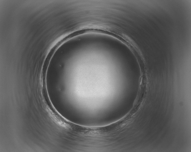 X0000078281028200611031203