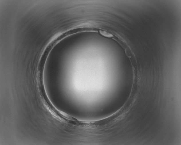 X0000078281029200611031203