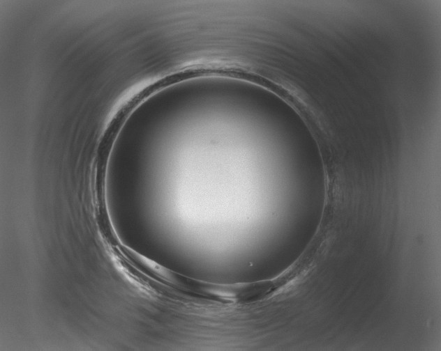 X0000078281030200611031203