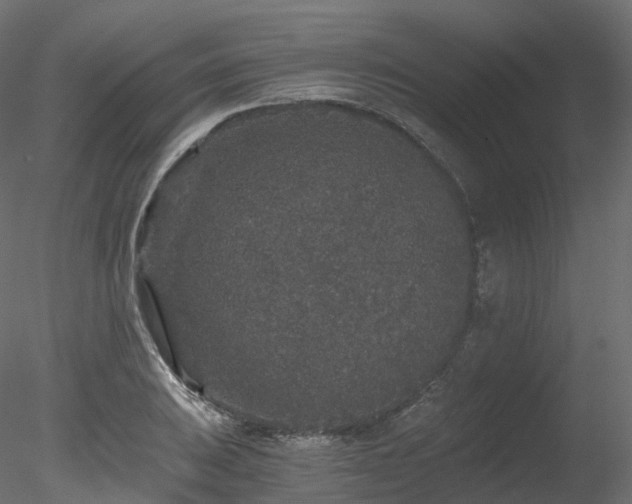 X0000078281031200611031203