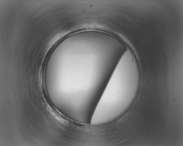 X0000078281032200611031203