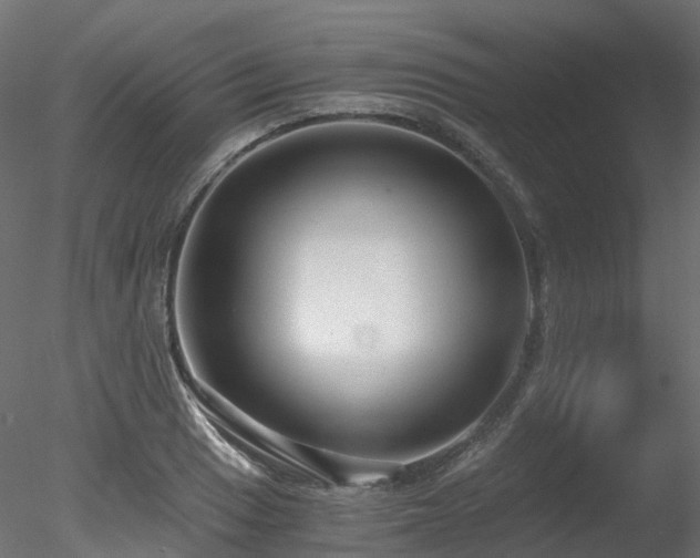 X0000078281033200611031203