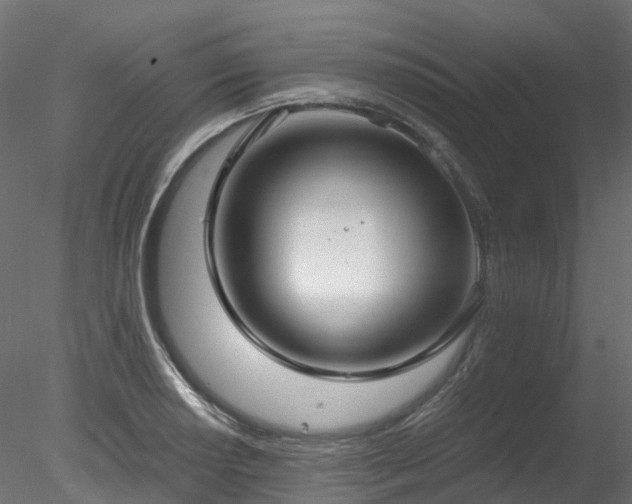 X0000078281034200611031203