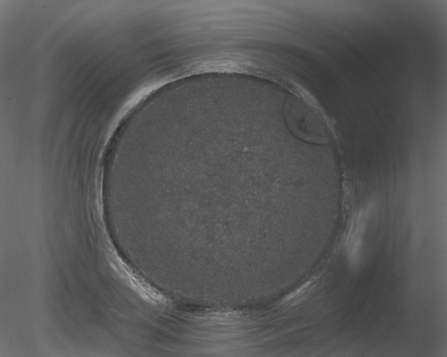 X0000078281035200611031203