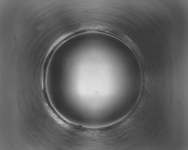 X0000078281036200611031203