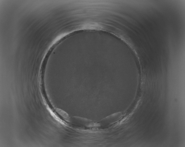 X0000078281037200611031203