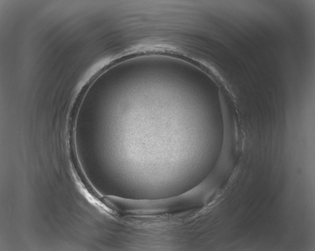 X0000078281038200611031203