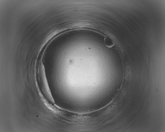 X0000078281039200611031203