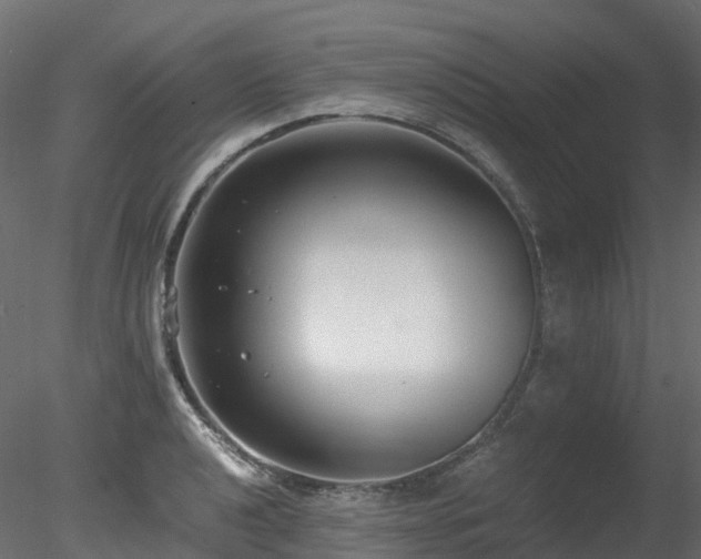 X0000078281040200611031203