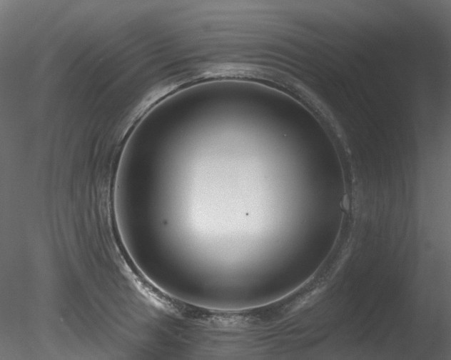 X0000078281041200611031203