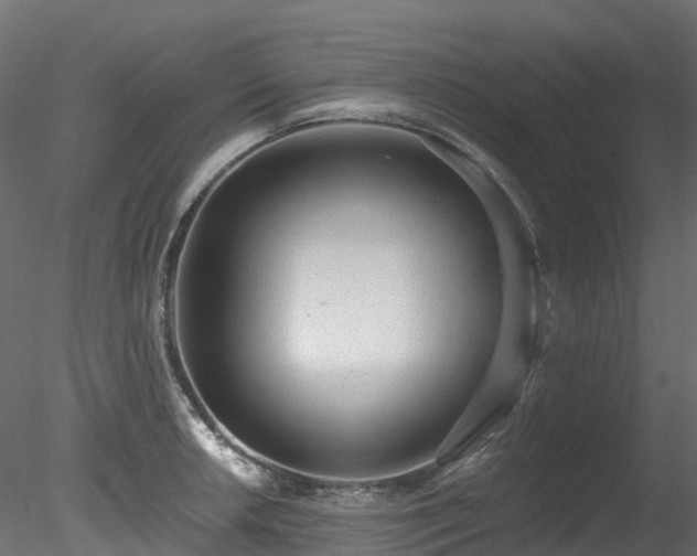 X0000078281042200611031203