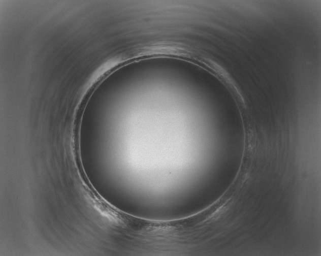 X0000078281043200611031203