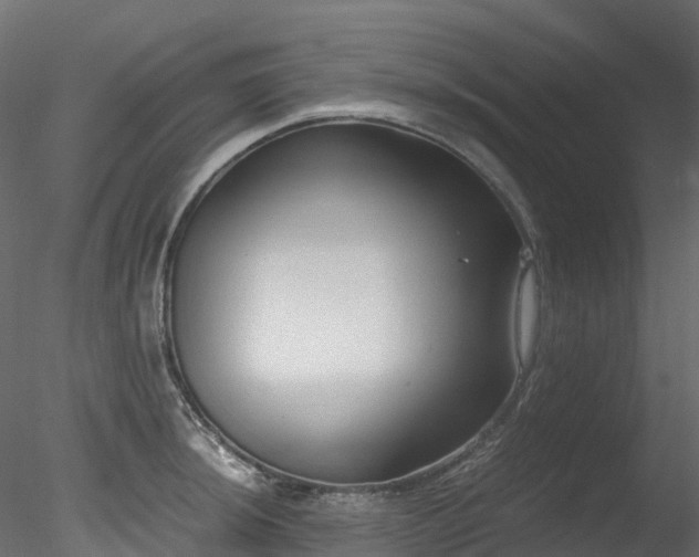 X0000078281044200611031203