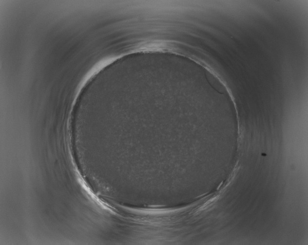 X0000078281045200611031203