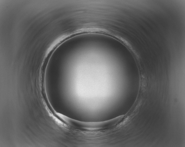 X0000078281046200611031203