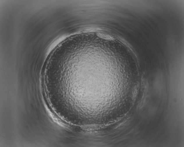 X0000078281047200611031203