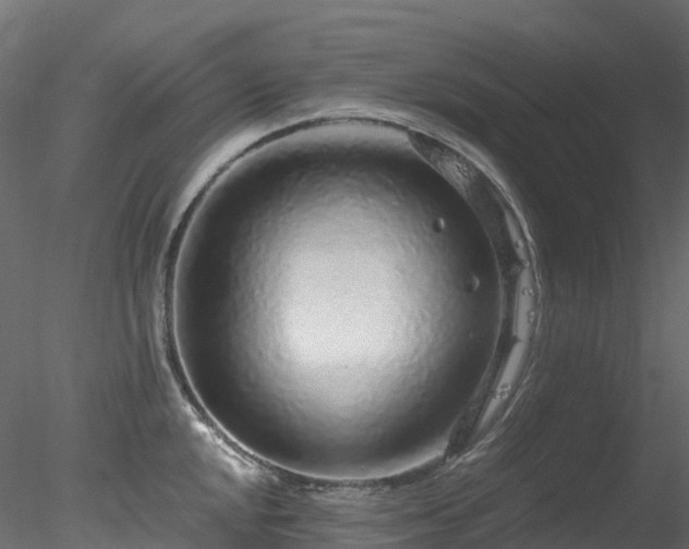 X0000078281048200611031203