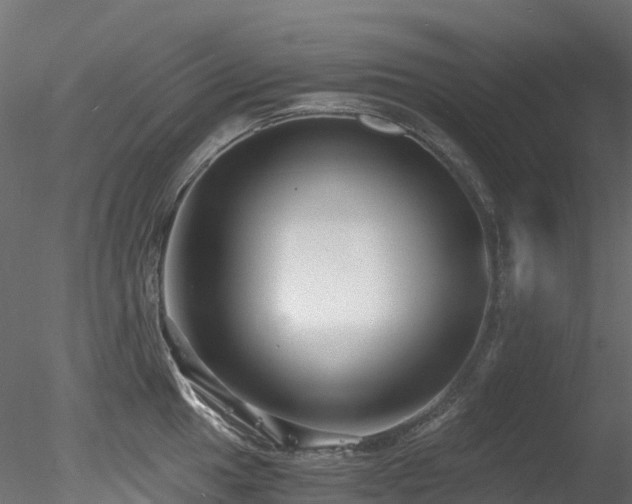 X0000078281049200611031203