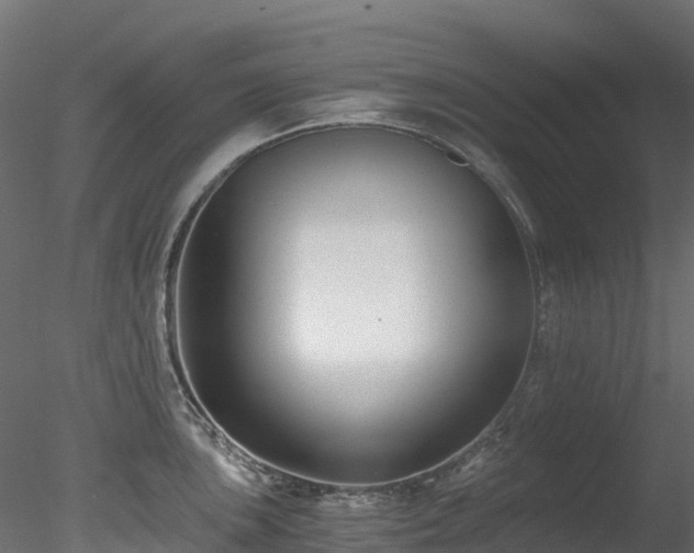 X0000078281051200611031203