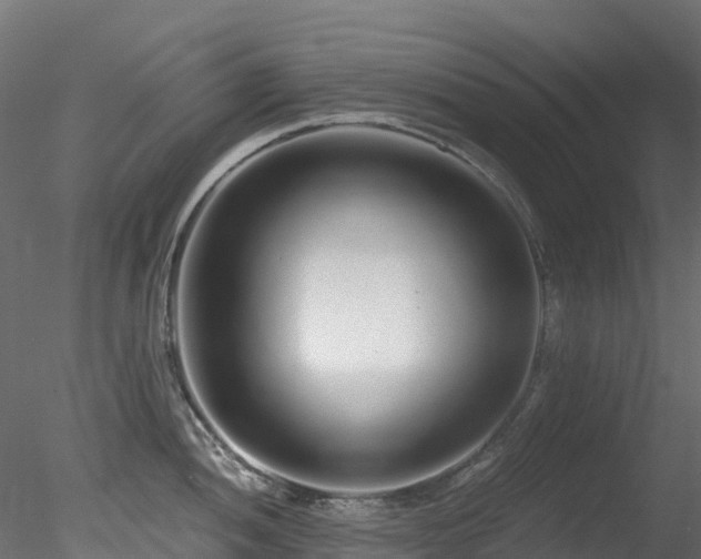 X0000078281052200611031203