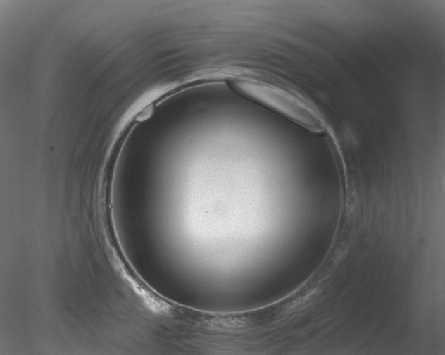 X0000078281053200611031203