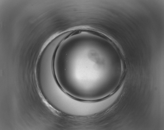 X0000078281054200611031203