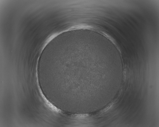 X0000078281055200611031203