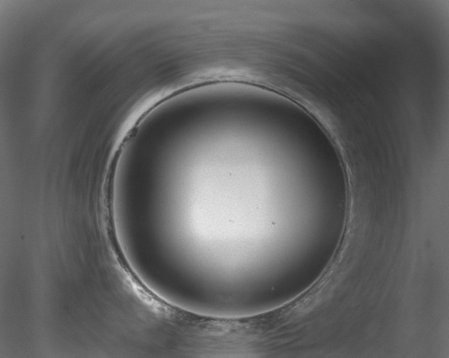 X0000078281056200611031203