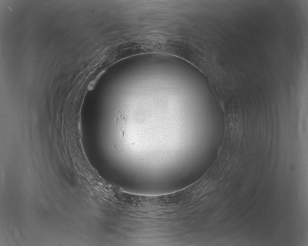 X0000078281057200611031202