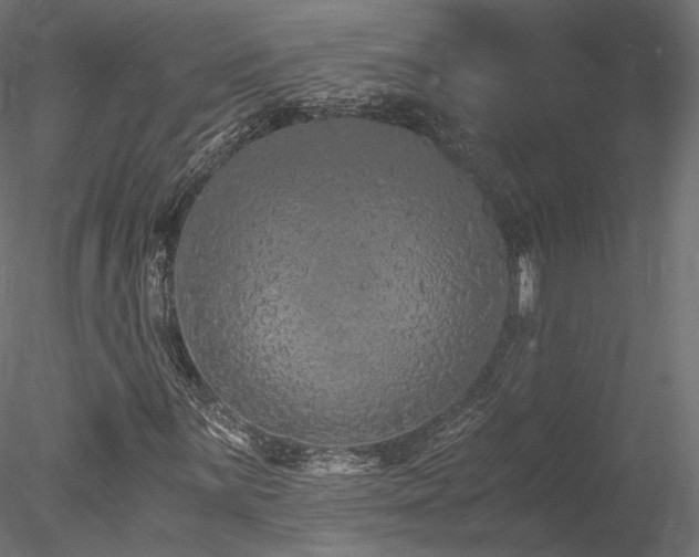 X0000078281059200611031202