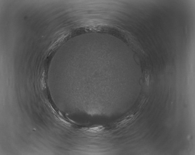 X0000078281060200611031202