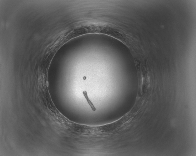 X0000078281061200611031202